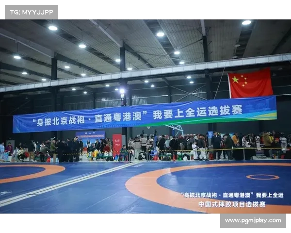 中国式摔跤职业化转型在全运会中探路改革新模式 中国式摔跤职业化转型在全运会中探路改革新模式